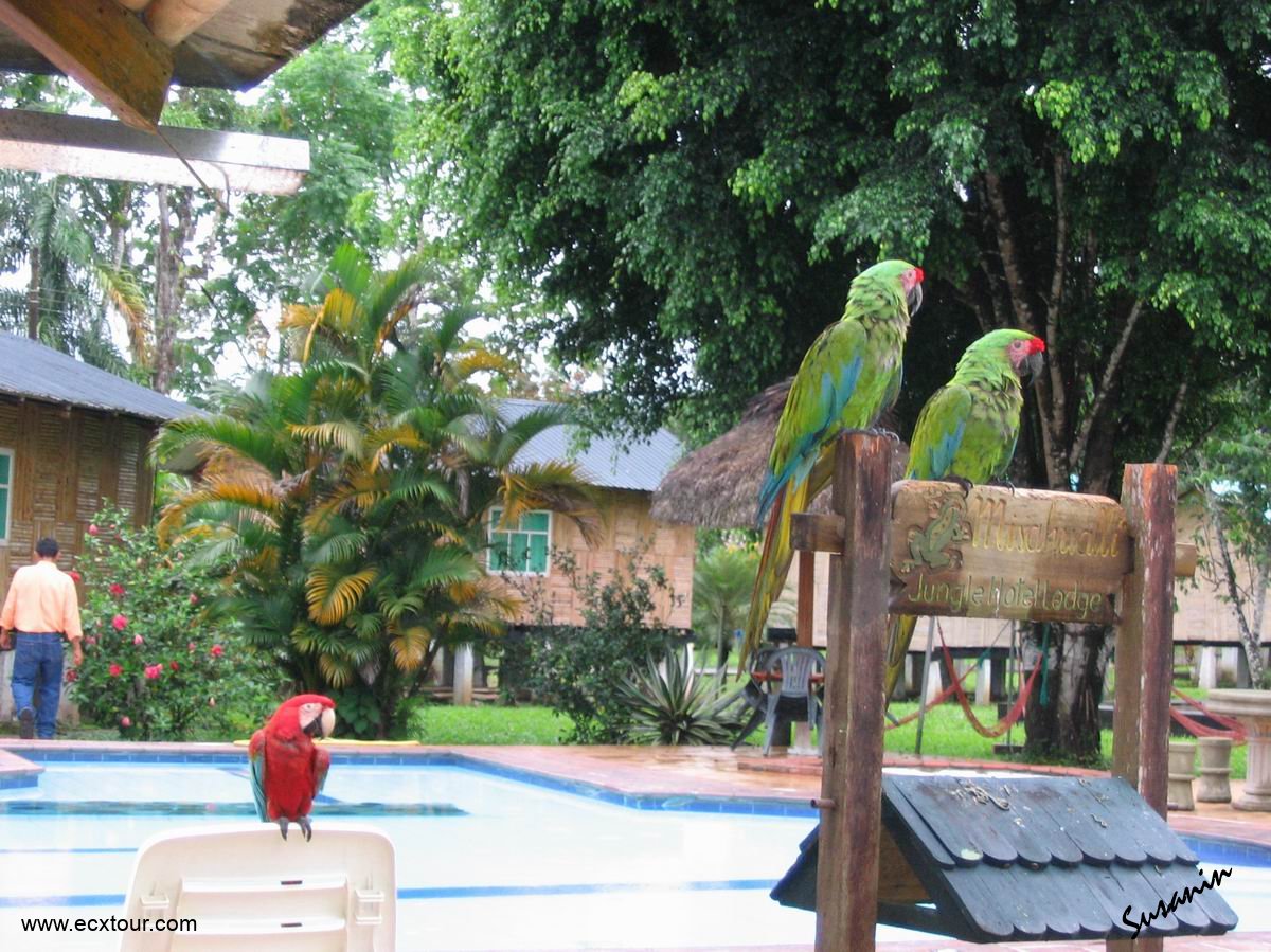 ���������