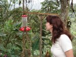Кормушка для колибри на территории туристического комплекса Bellavista
