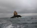 Во время морской прогулки на катере между островами Santa Cruz и Isabela, можно наблюдать скалы самых причудливых форм.