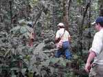 Прогулка по тропическому лесу в сопровождении представителя местного племени.